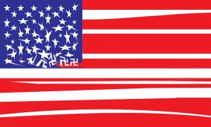 State of the US flag 2018